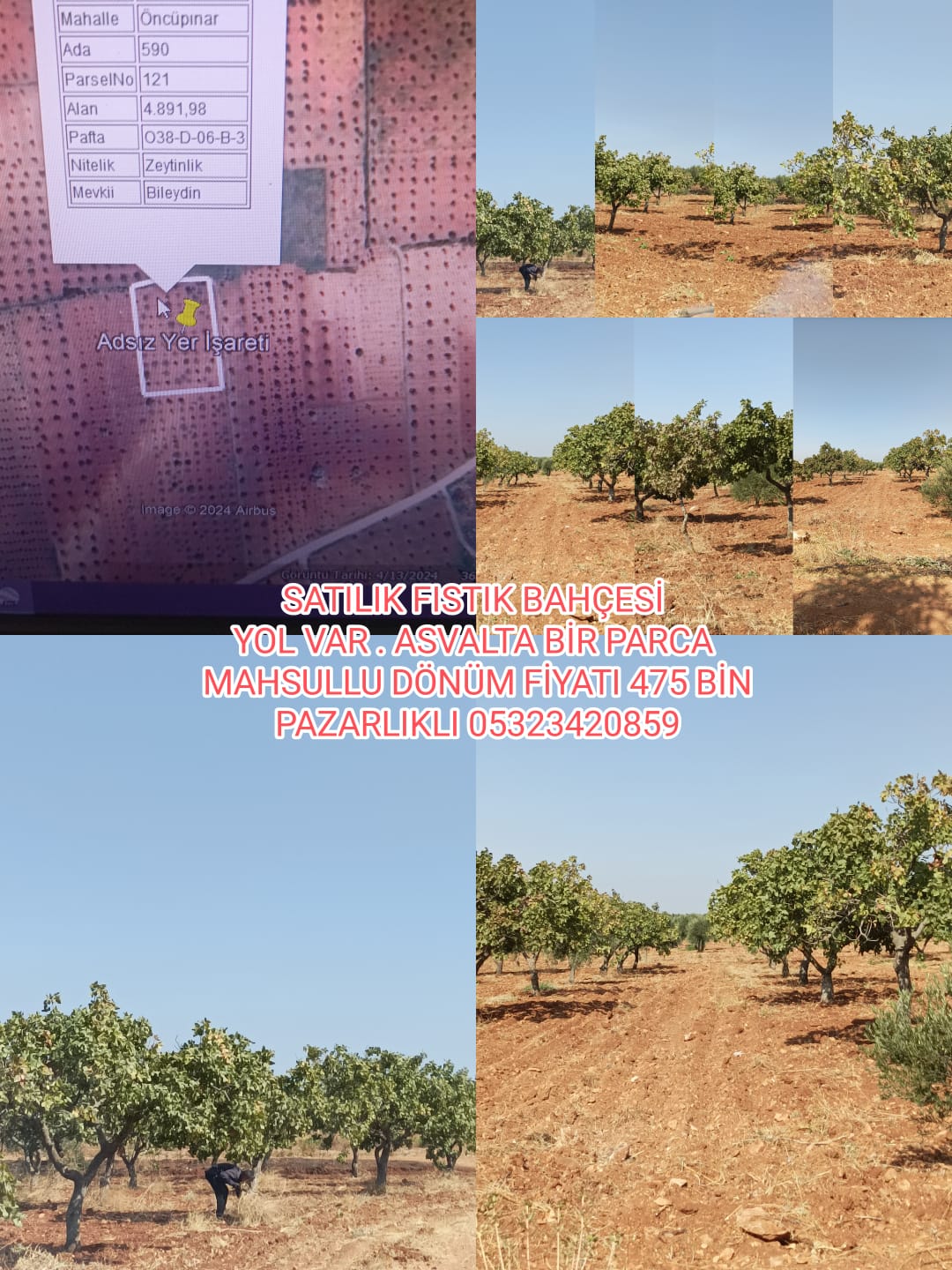 İlan Fotoğrafı